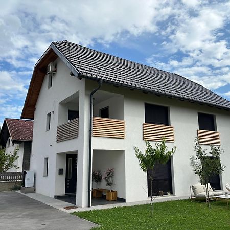 Aura Apartments Zirovnica Exterior photo